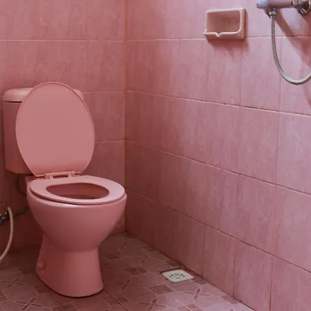 Konukevi Citrus Tree - Arik *