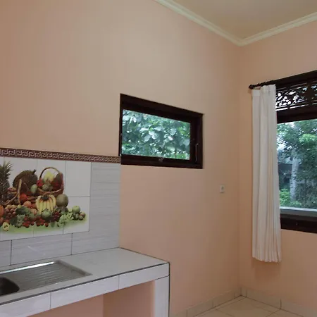 Citrus Tree - Arik Konukevi *