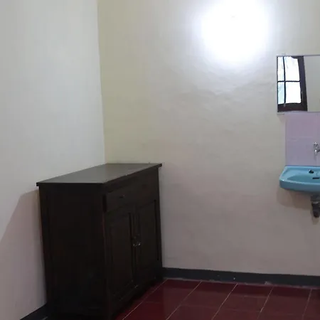 Konukevi Citrus Tree - Arik