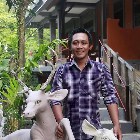 Konukevi Citrus Tree - Arik *