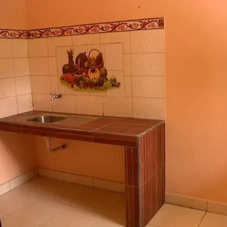 Citrus Tree - Arik *