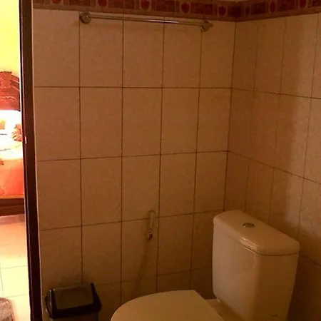 Citrus Tree - Arik Konukevi *