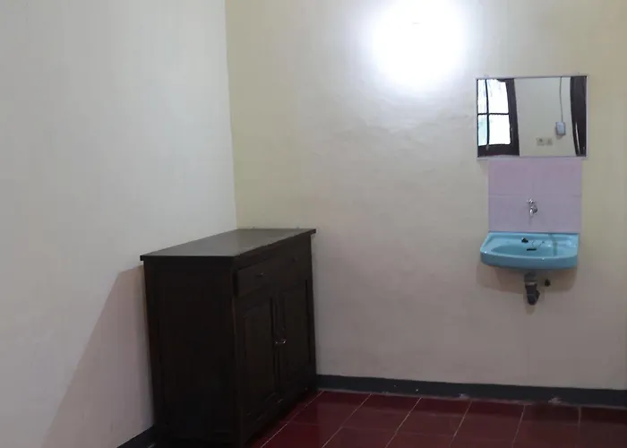 Pensión Citrus Tree - Arik