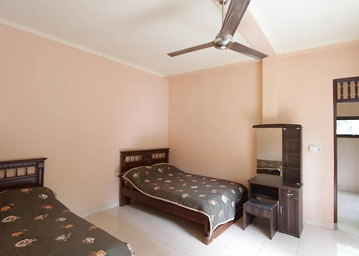 Citrus Tree - Arik Pensión