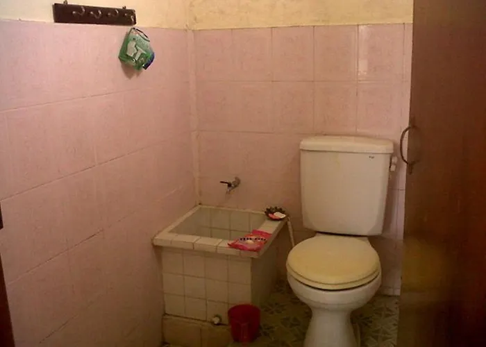 Pensión Citrus Tree - Arik Ubud