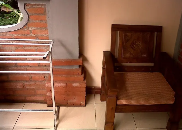 Citrus Tree - Arik *